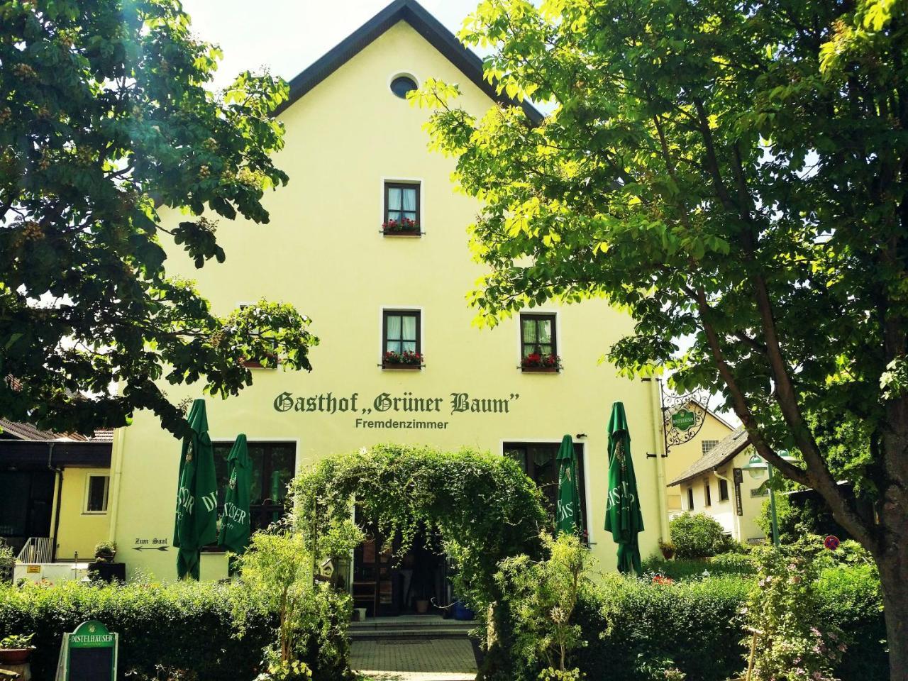 Hotel-Landgasthof Gruener Baum - Dittigheim Tauberbischofsheim Exterior photo